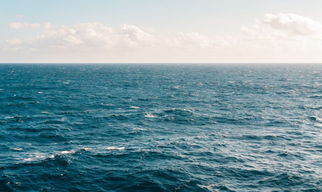 Costes ocultos crucero navieras