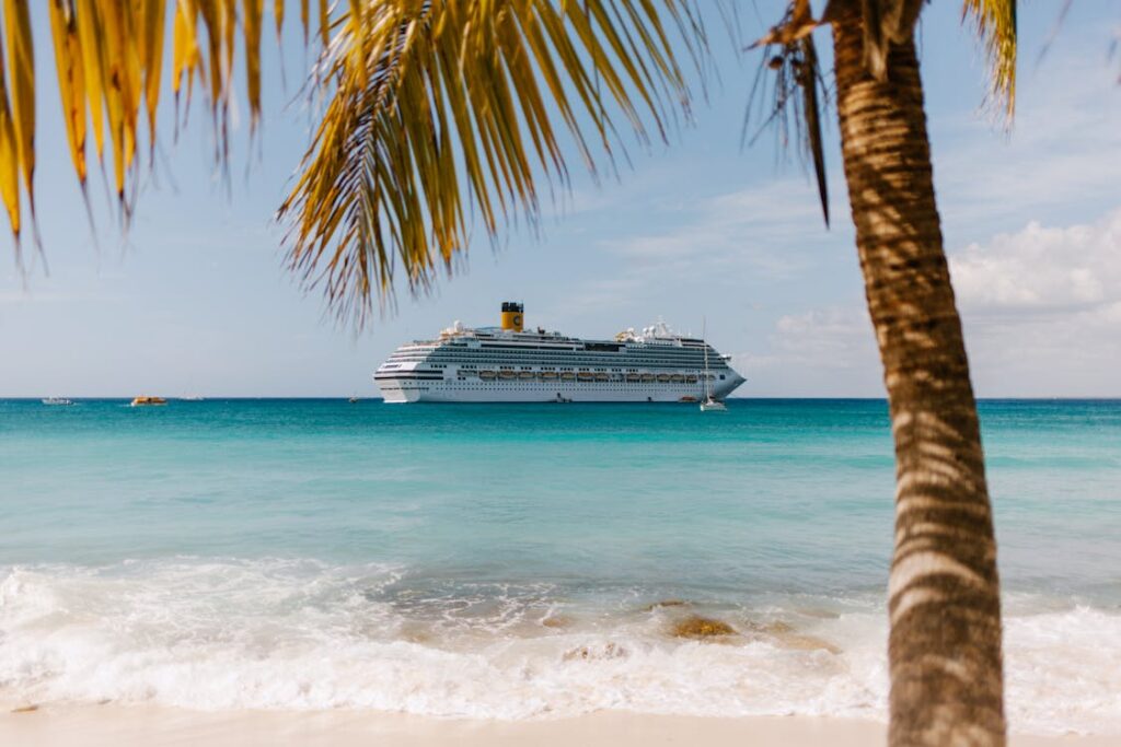 Crucero blanco navegando en el Caribe con palmera y playa