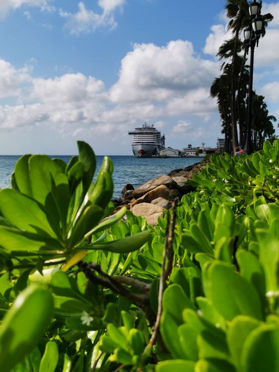 Barco de crucero navegando cerca de la costa con vegetación tropical en primer plano, ideal para Semana Santa